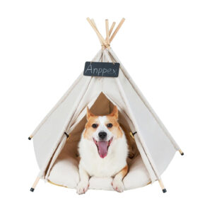 Dog Tent House