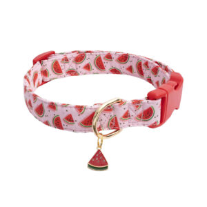 Watermelon Pattern Cute Dog Collar