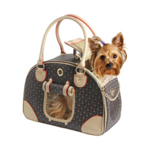 Fashionable Brown Pet Hiking Bag