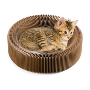 Foldable cat scratching board leisure bed