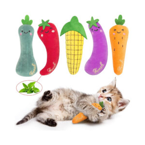 Vegetable Pillow Cat Toy